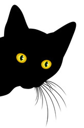 Similar image 21450596