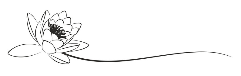 Similar image 21446211