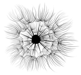 Similar image 21455687