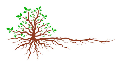 Similar image 21446227