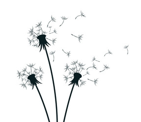 Similar image 21448618