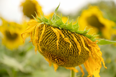 Similar image 21447140