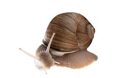 Similar image 21447141