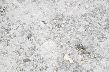 Similar image 21445930