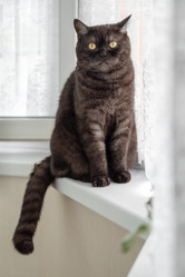 Similar image 21445931