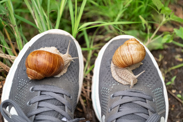 Similar image 21445933