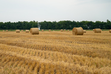 Similar image 21445934