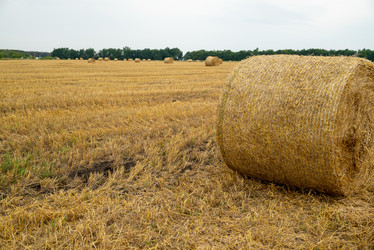 Similar image 21447146