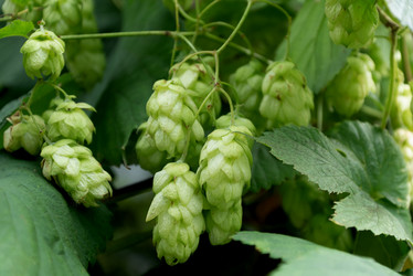 Similar image 21445939