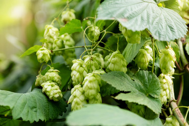 Similar image 21447147