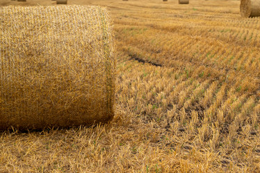 Similar image 21445943