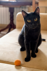 Similar image 21445797