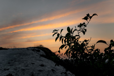 Similar image 21445799