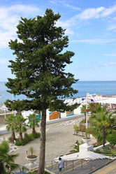 Similar image 21446591