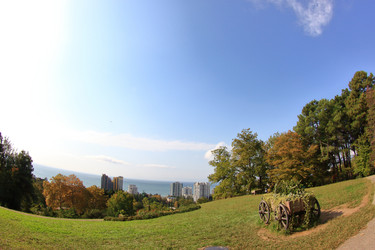 Similar image 21445808