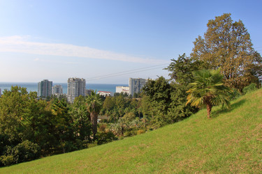 Similar image 21445811