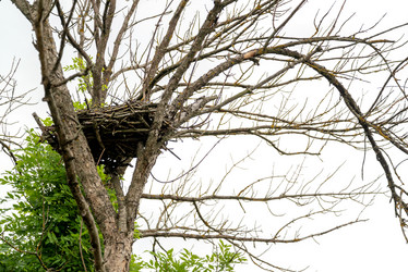 Similar image 21445953