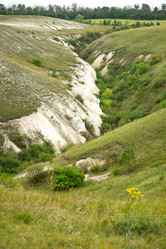 Similar image 21446596