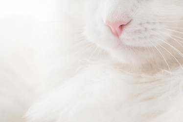 Similar image 21445957