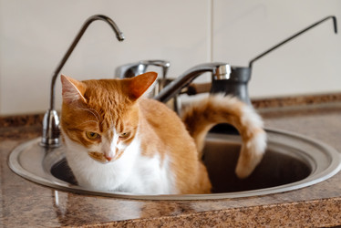 Similar image 21445961