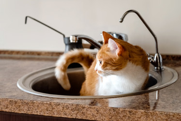 Similar image 21447151