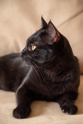 Similar image 21445965