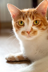 Similar image 21445967