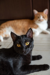 Similar image 21445968