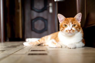 Similar image 21446600