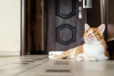 Similar image 21445969