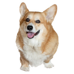 Similar image 21445973