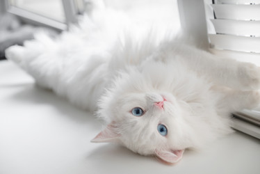 Similar image 21445977