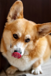 Similar image 21445978