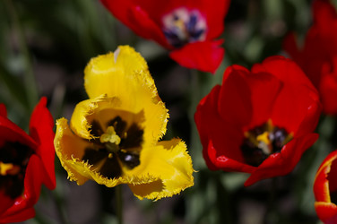 Similar image 21448084