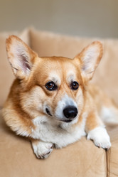 Similar image 21447153