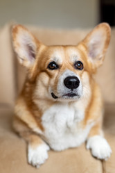 Similar image 21445982