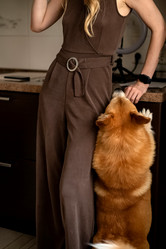 Similar image 21445984