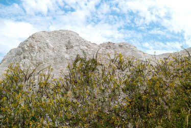 Similar image 21447156