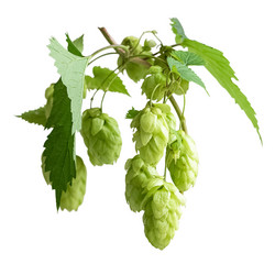 Similar image 21447157