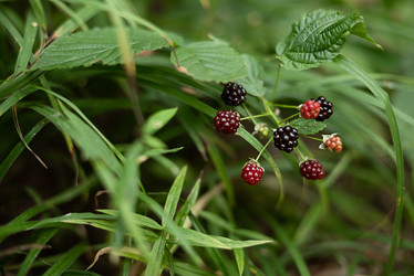 Similar image 21445991