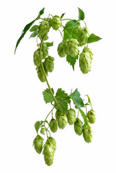 Similar image 21447160