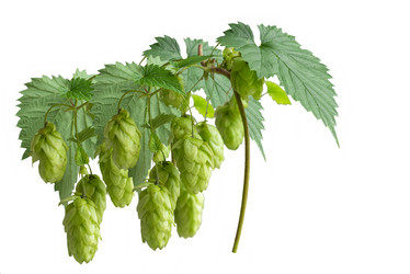 Similar image 21446009