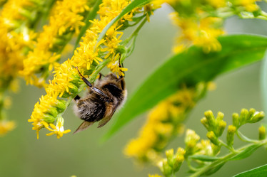 Similar image 21446018