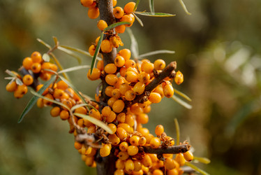 Similar image 21446024