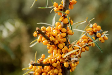 Similar image 21447162