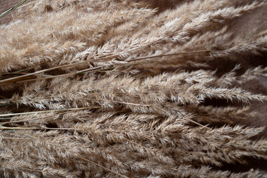 Similar image 21446029