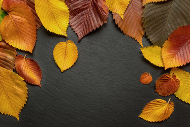 Similar image 21446036