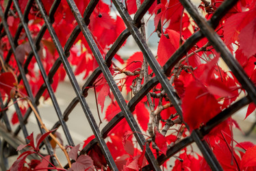 Similar image 21446041