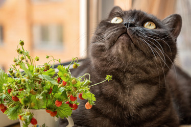 Similar image 21445826