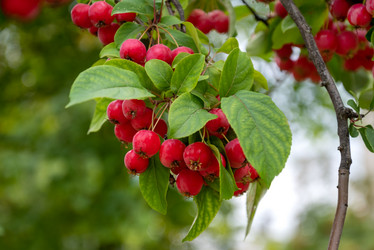 Similar image 21447770